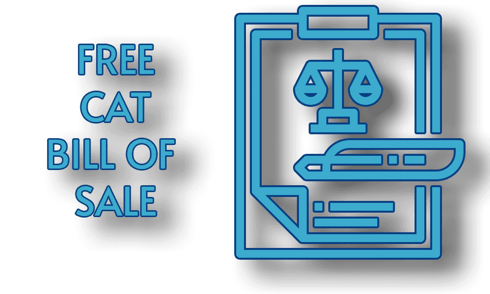 A Free Cat Bill of Sale Template